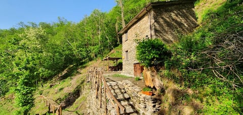 The fox's den