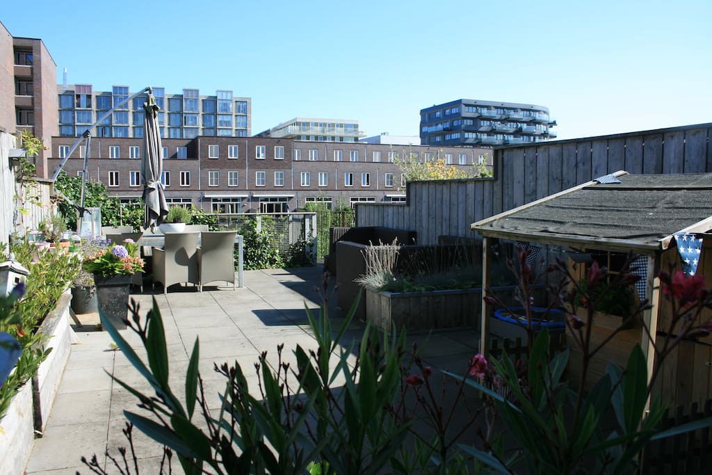 The terrace to enjoy the sun
