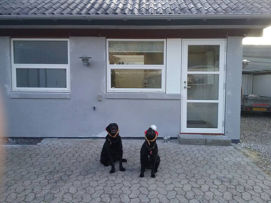 We finally got new Doors and new Windows. Something to celebrate.