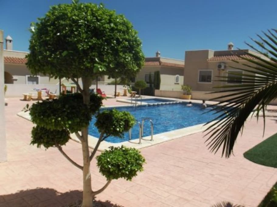 piscine commune
