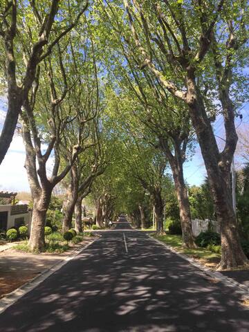 4 bedroom house in Newlands gallery image 3