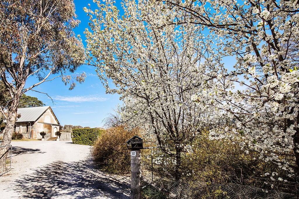 Welcome to the Old Convent!