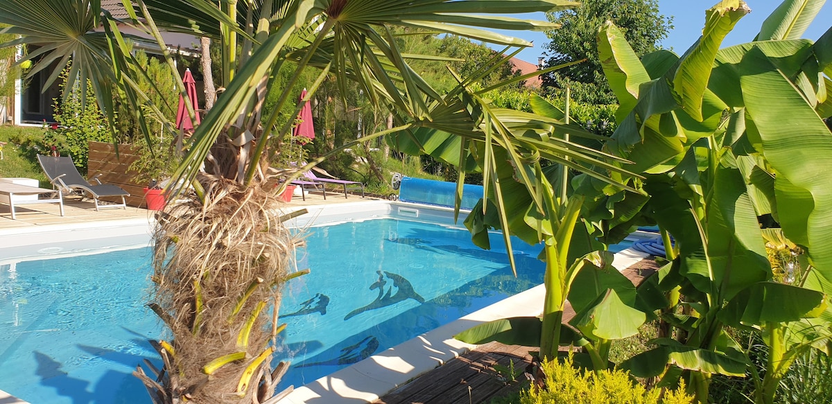 A spacious outdoor area features a clear swimming pool surrounded by tropical greenery. Poolside loungers are visible under shaded umbrellas, complementing the vibrant palm and banana plants that provide a lush backdrop.