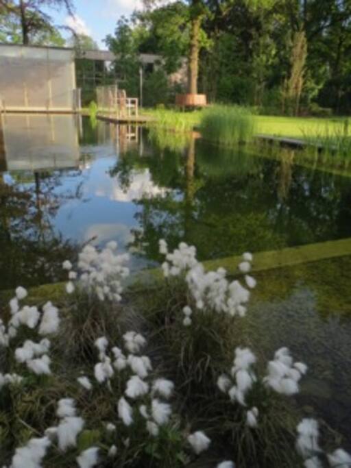 Kom tot rust in onze tuin, gelegen net achter onze B&B.