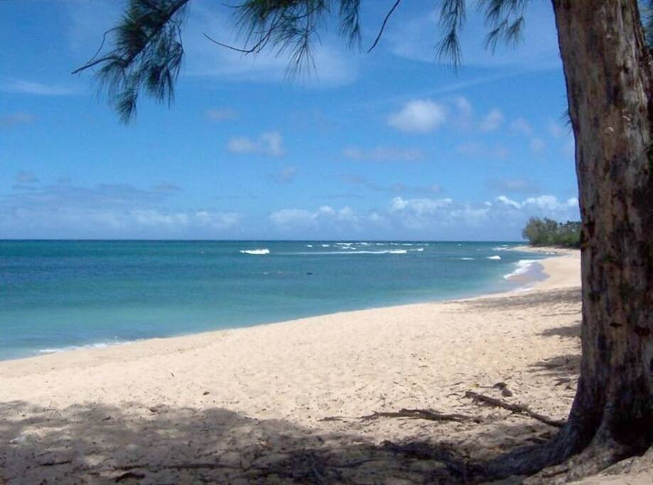 ....you can swim here no matter what size the surf