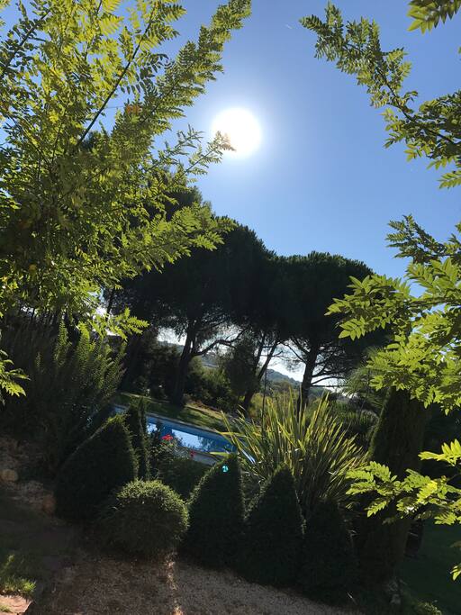 Vu du parc