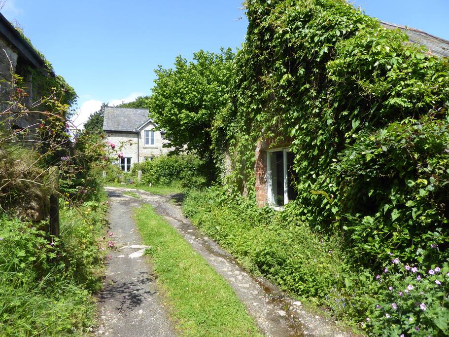 Driveway