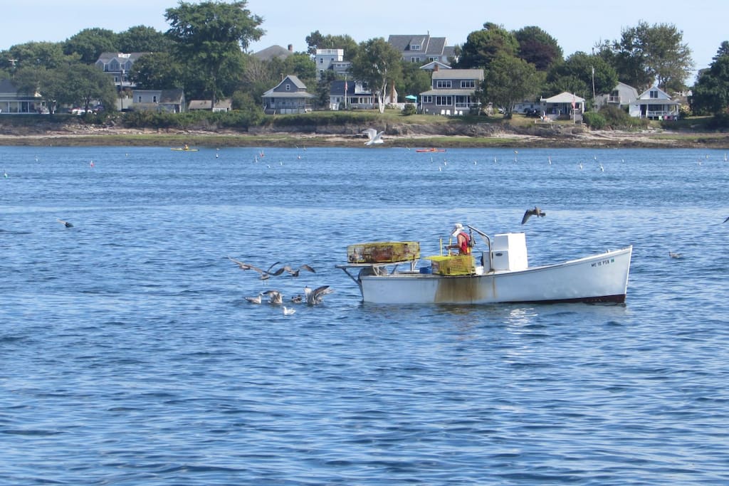A Lobsterman hauling his traps