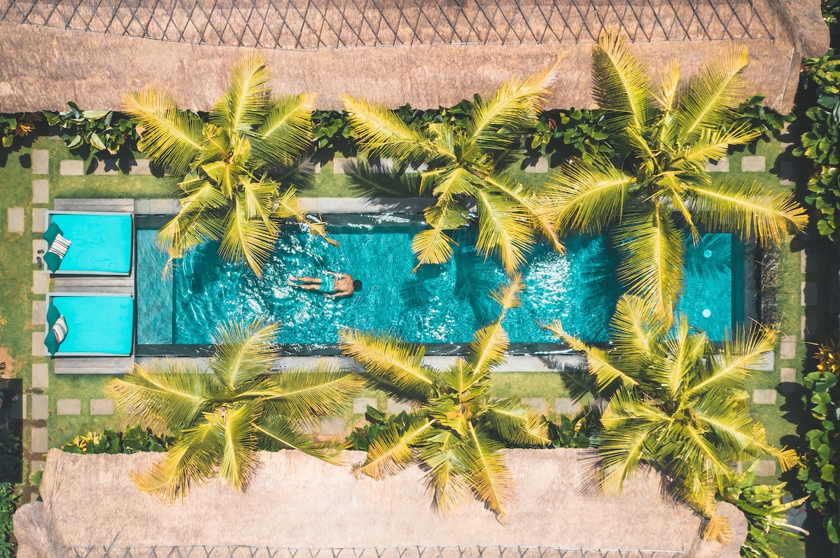 An aerial view captures a long, inviting pool flanked by lush palm trees and comfortable lounge chairs. The shimmering water reflects surrounding greenery, while a guest enjoys a leisurely swim amidst a tropical atmosphere.