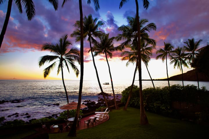 Oceanfront - Dolphin Retreat