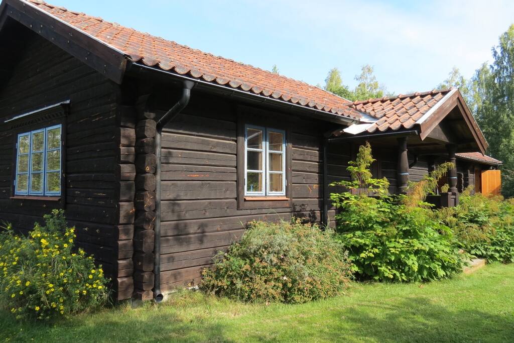 Frodig grönska