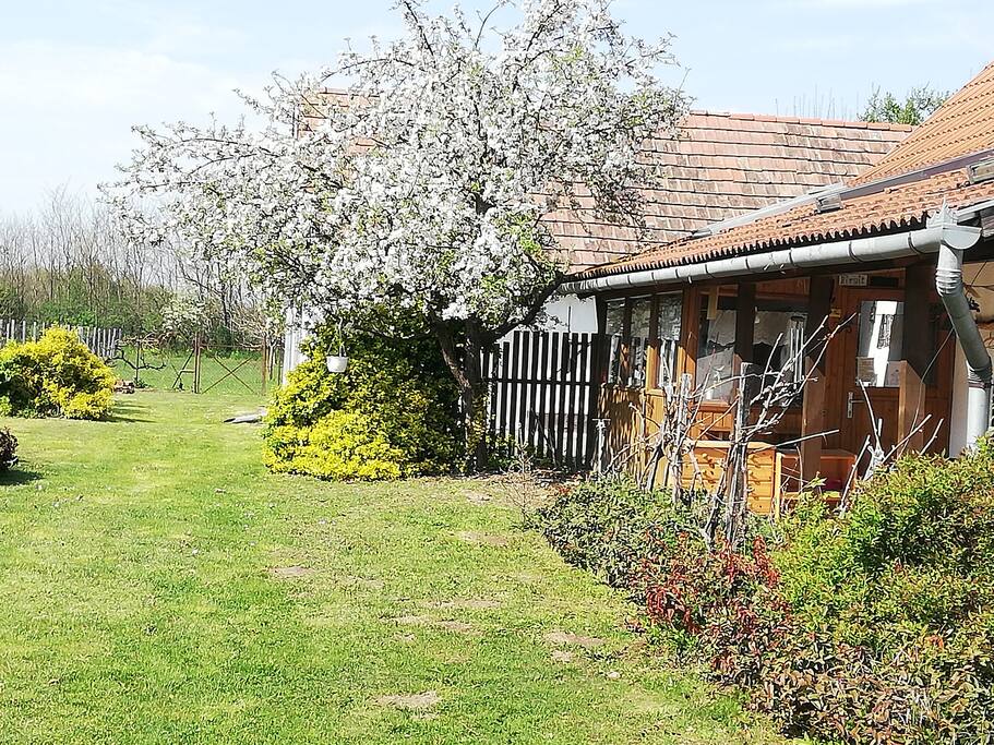 Haus mit romantischen Garten bei Thermalbad Buzsak Erdhäuser zur