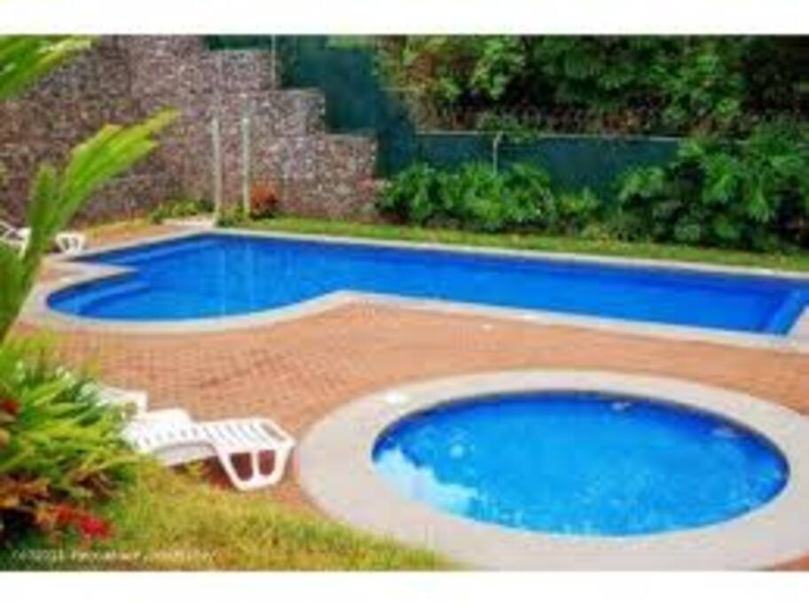 Beautiful pool in the middle of beautiful tropical gardens