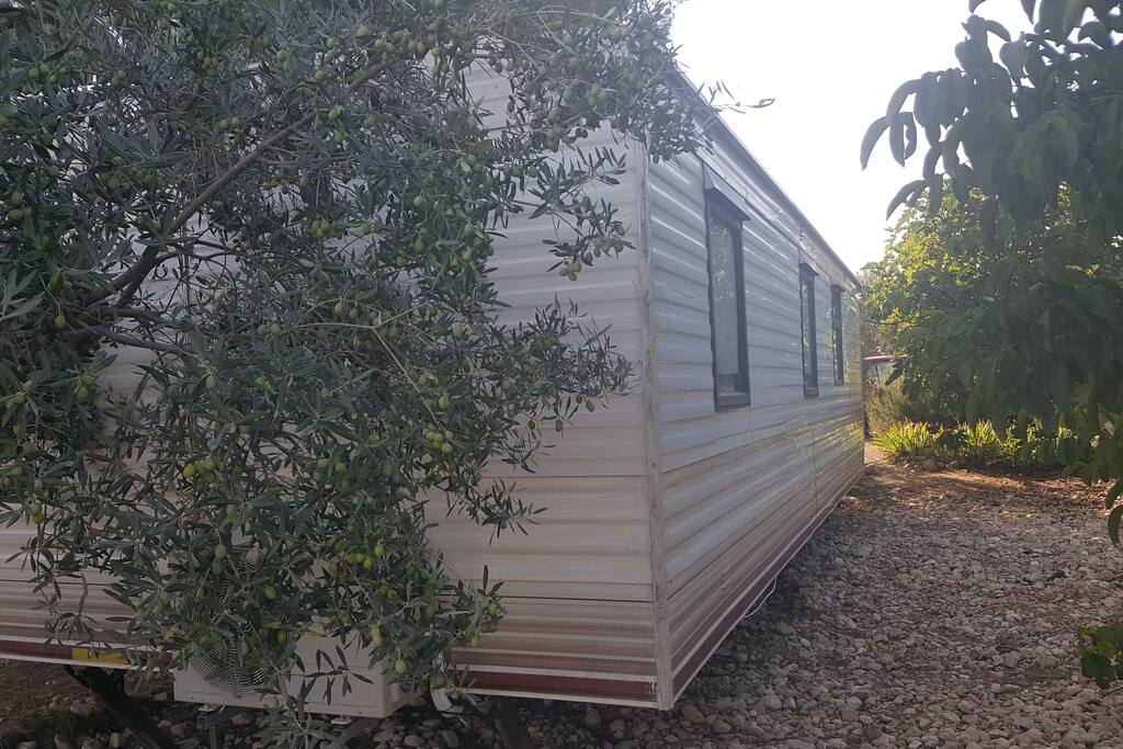 Mobile Home Rear
