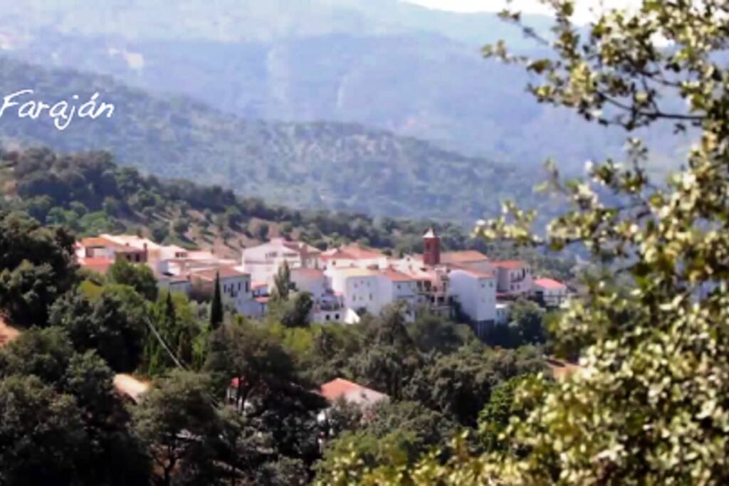 vista