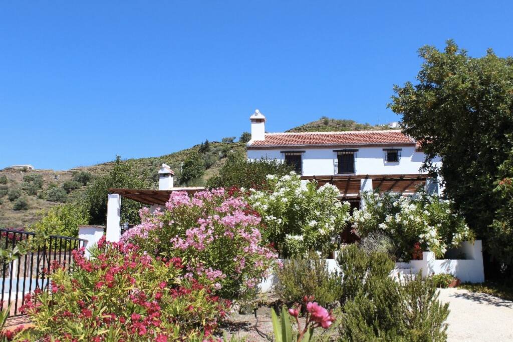 Die Casa Angelica