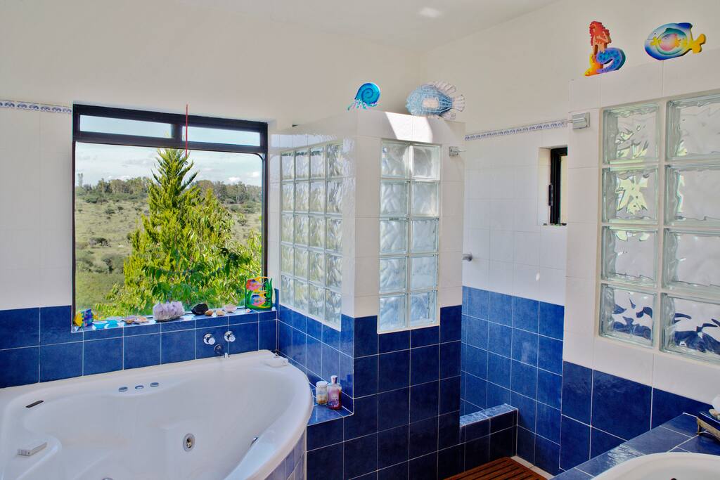 Master bathroom with jacuzzi.