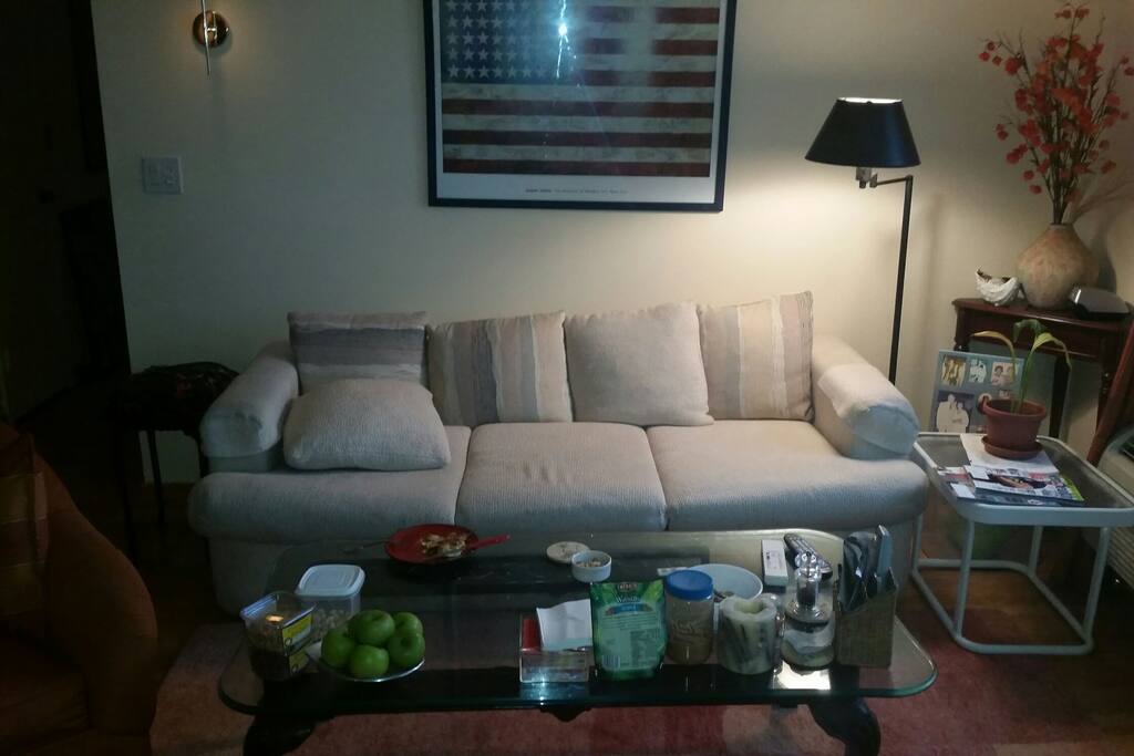 Living room w pull out couch sliding door onto balcony.