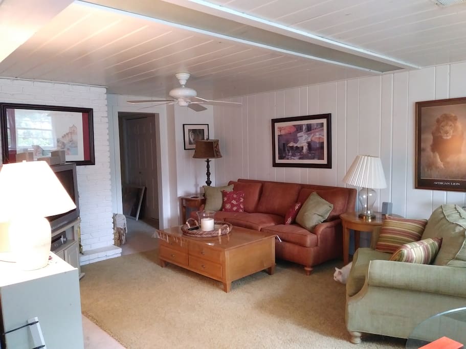 Large Family Room