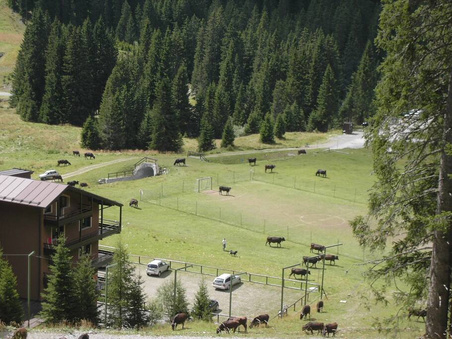 La casa vista dalla pista da sci in estate