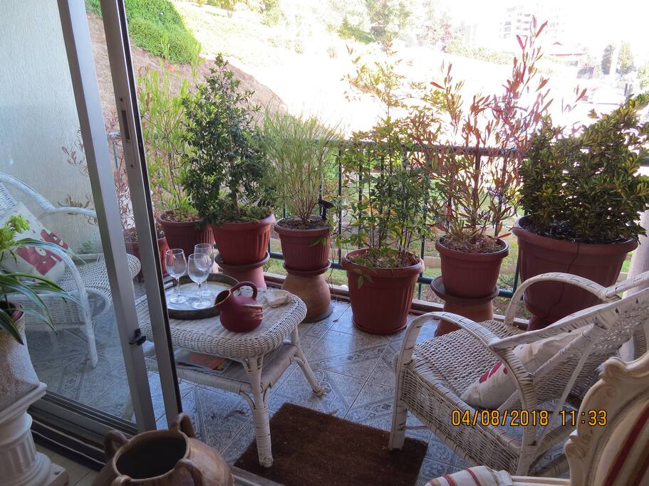 terraza