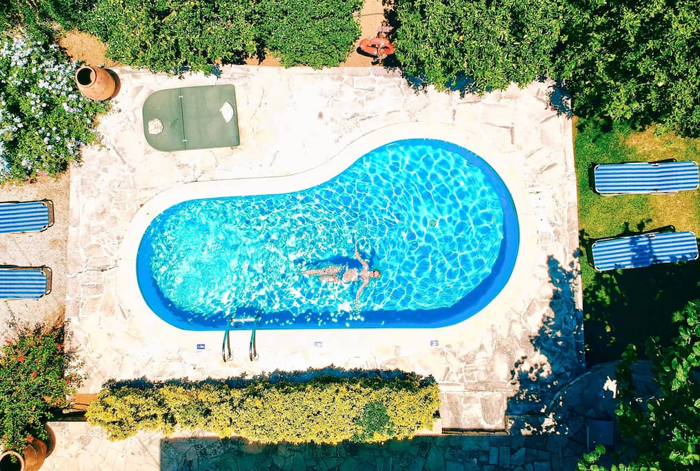 Pool from the air
