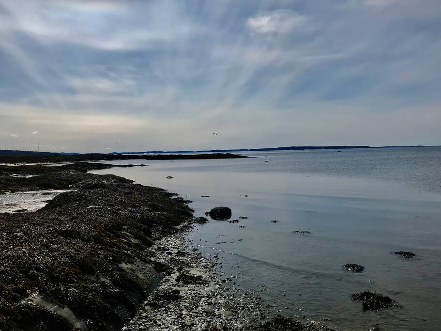 Beach area