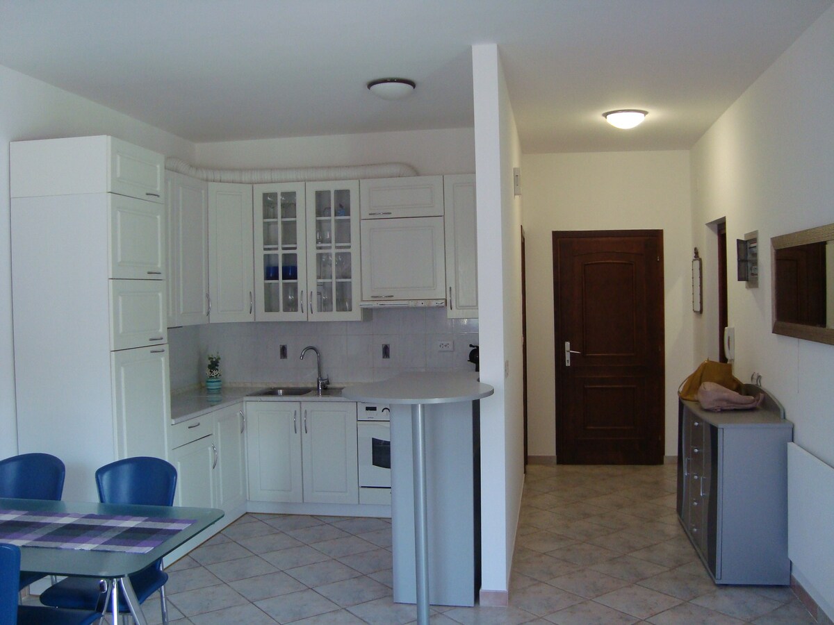 Apartment Carmen
