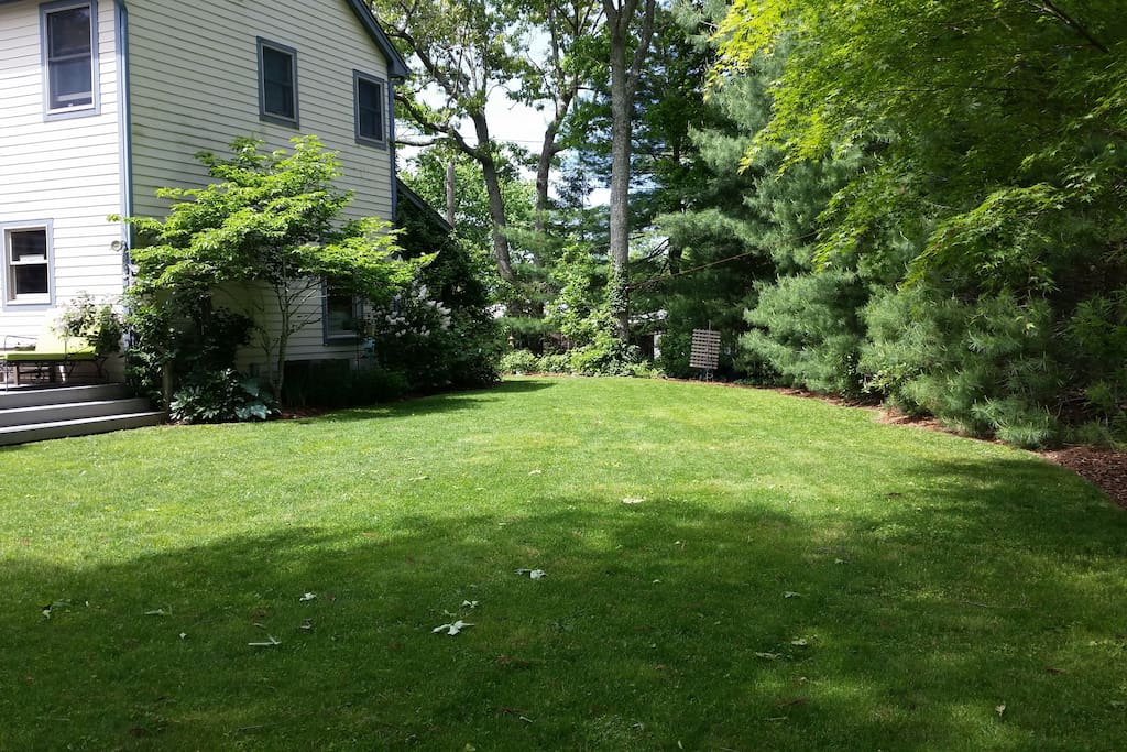 Back and side yards.