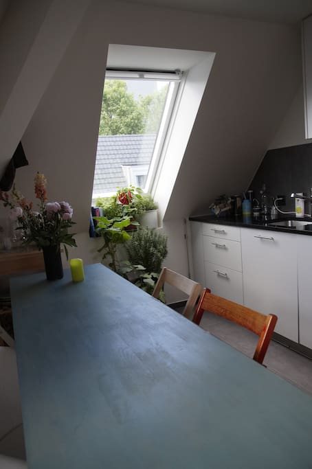 Kitchen & kitchen garden