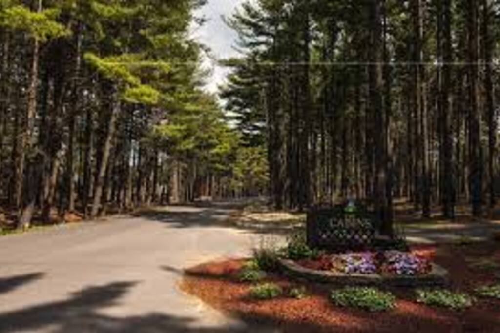 Drive into Resort