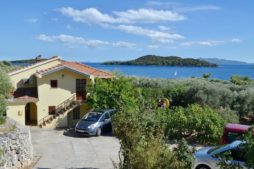 House in olive grove
