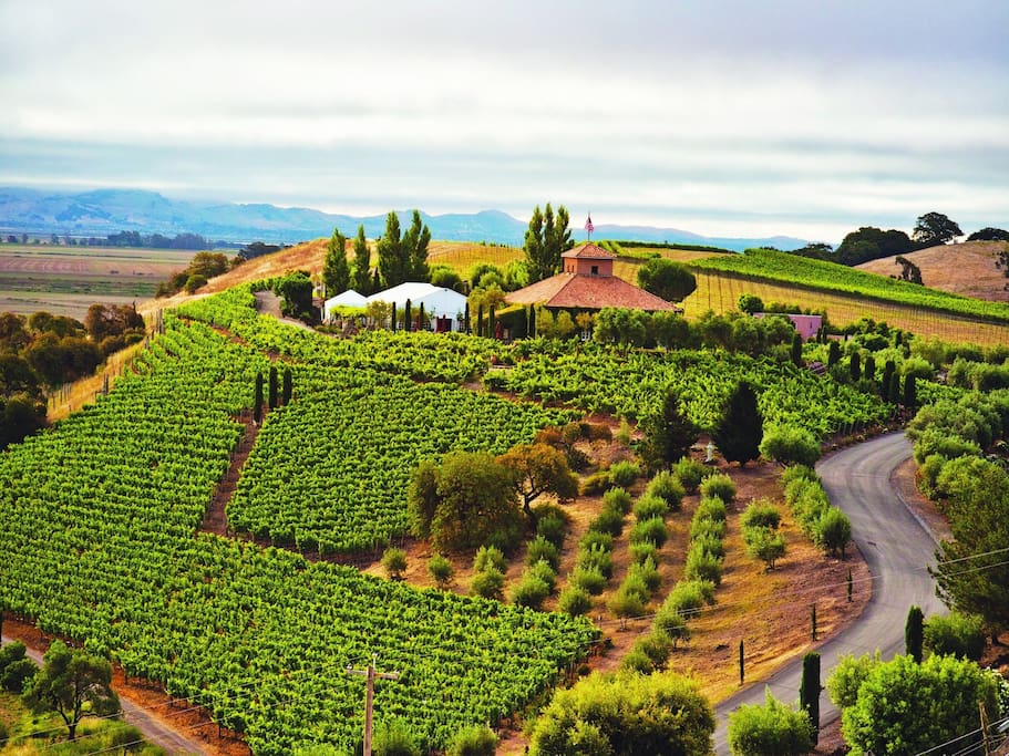 One of the majestic wineries you can find nearby