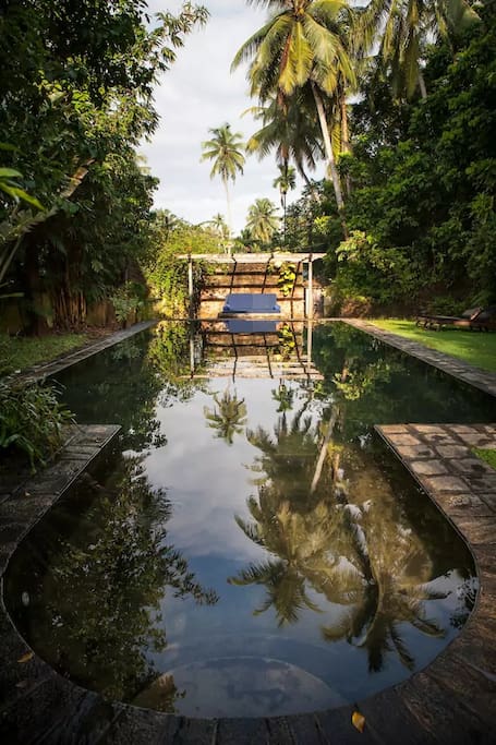 Our 45ft swimming pool with shallow end