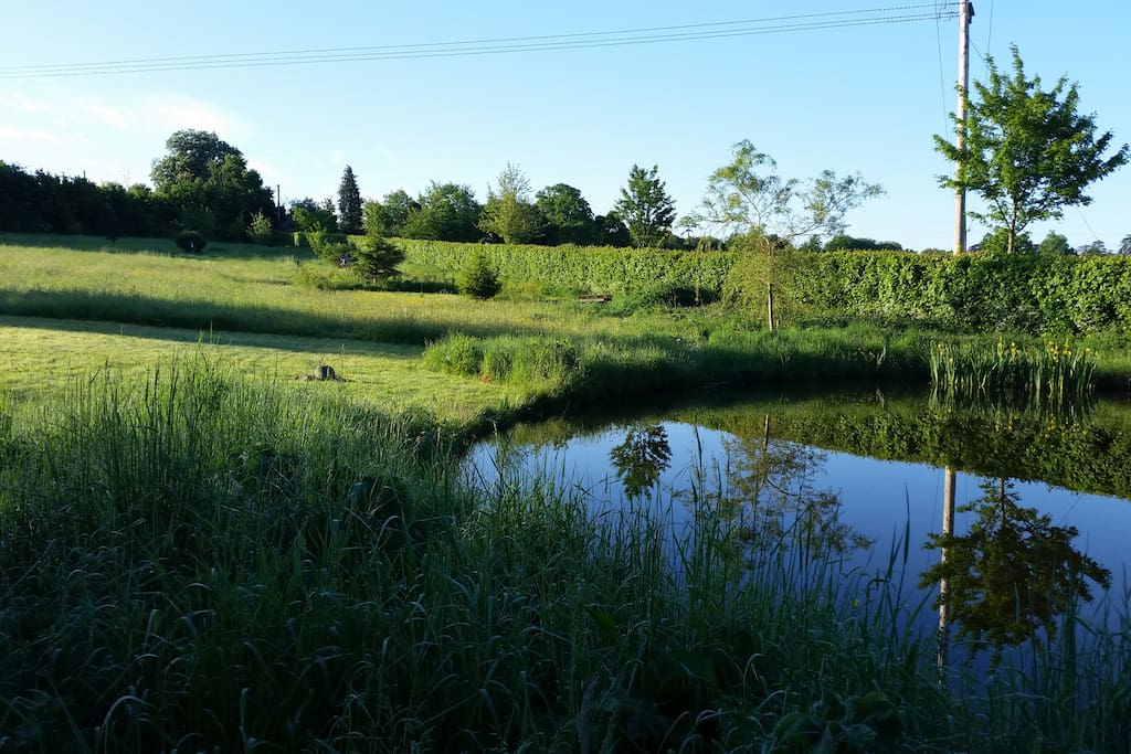 Our pond and land