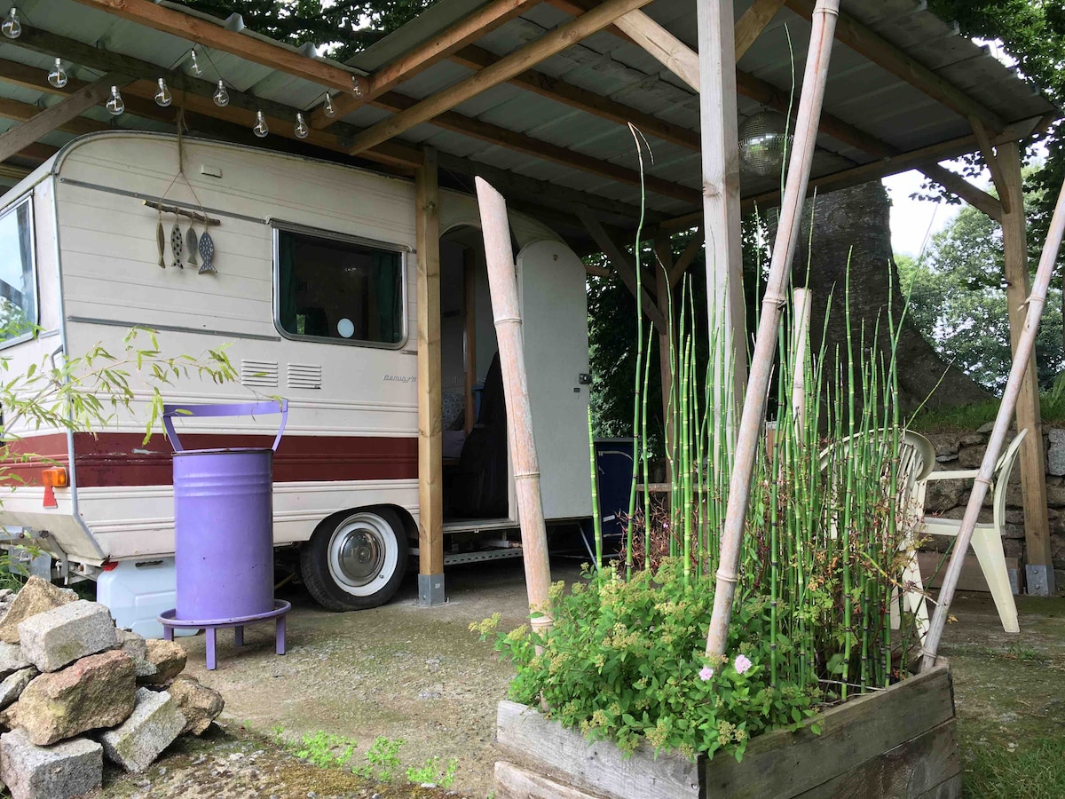 An outdoor view of a vintage caravan is shown, positioned under a wooden shelter. The caravan features a light exterior with red accents. Surrounding greenery includes tall plants and a flowering patch, enhancing the natural setting. A purple container and a simple chair are placed nearby.