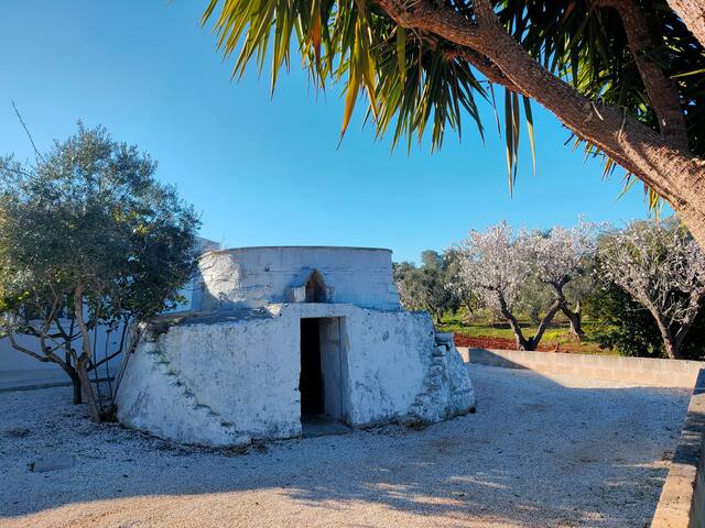 Villa del Tacco d’Italia piscina, Salento Pouilles gallery image 2