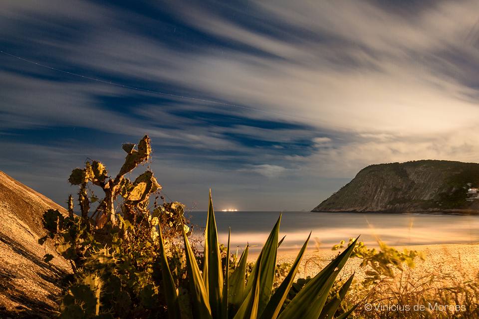 A scenic view of the coastline under a moonlit sky is depicted, featuring gentle waves lapping at the sandy beach. Plants and rocks are positioned in the foreground, leading the eye toward a distant hill. Soft clouds and a hint of stars enhance the tranquil atmosphere.