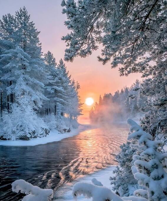 Winter