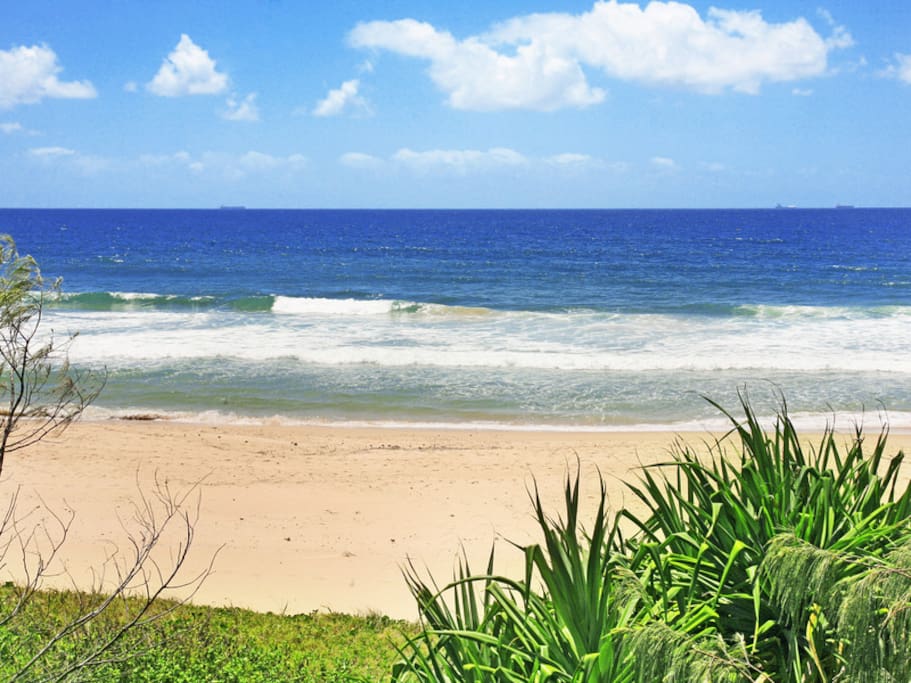 Buddina Beach - Dog Friendly