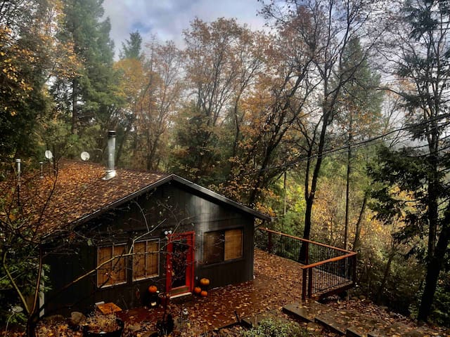 Airbnb Washington Vacation Rentals Places To Stay