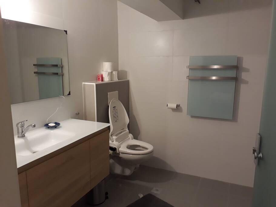 Bathroom with toilet and shower accessible through the bedroom. There is an additional toilet accessible through the living area
