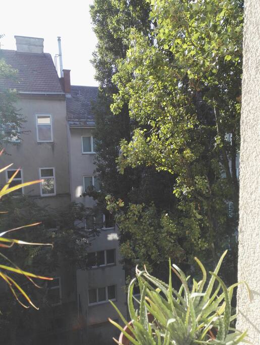 Ausblick