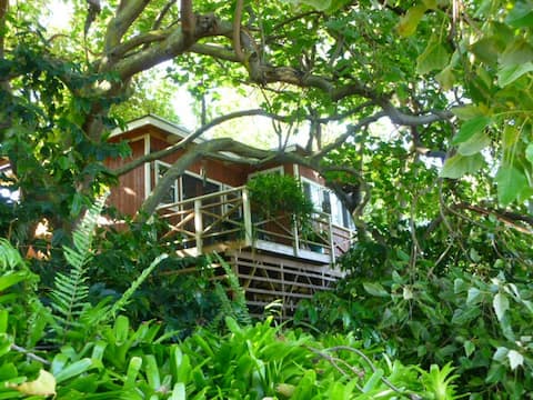 Private Cottage in tropical setting