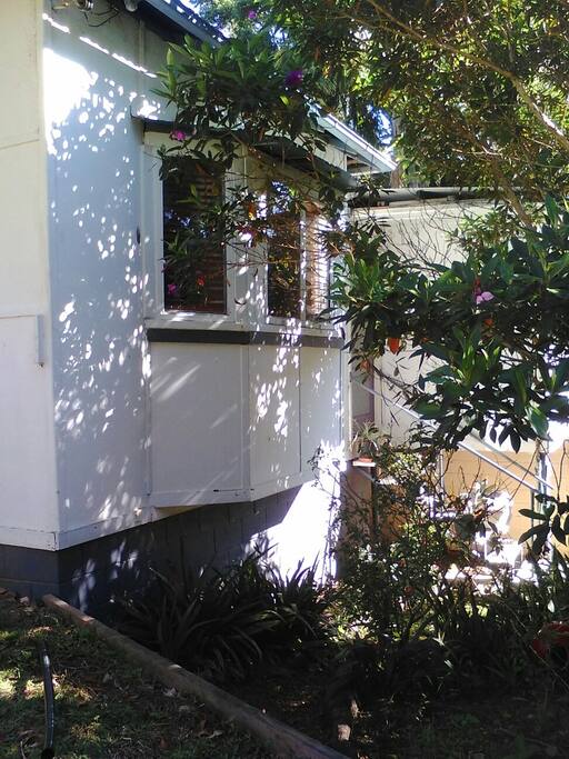 Bay window features