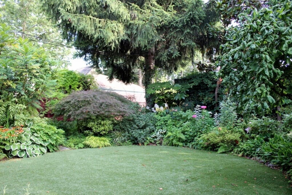 Backyard Garden