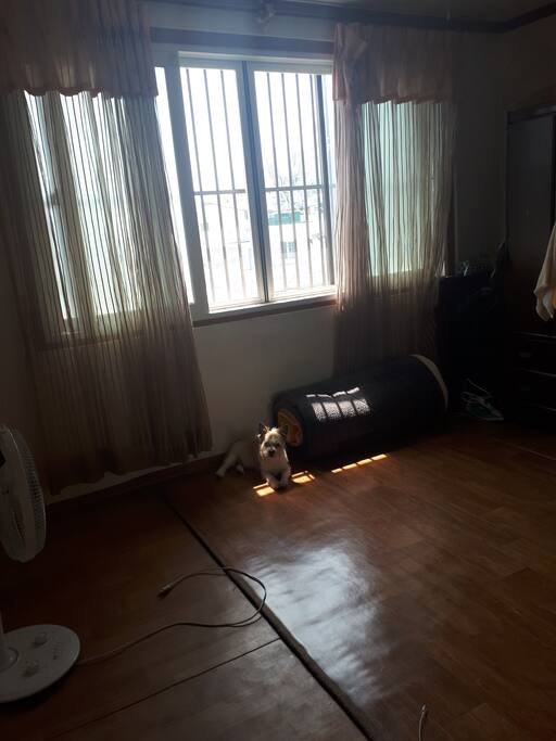 my room