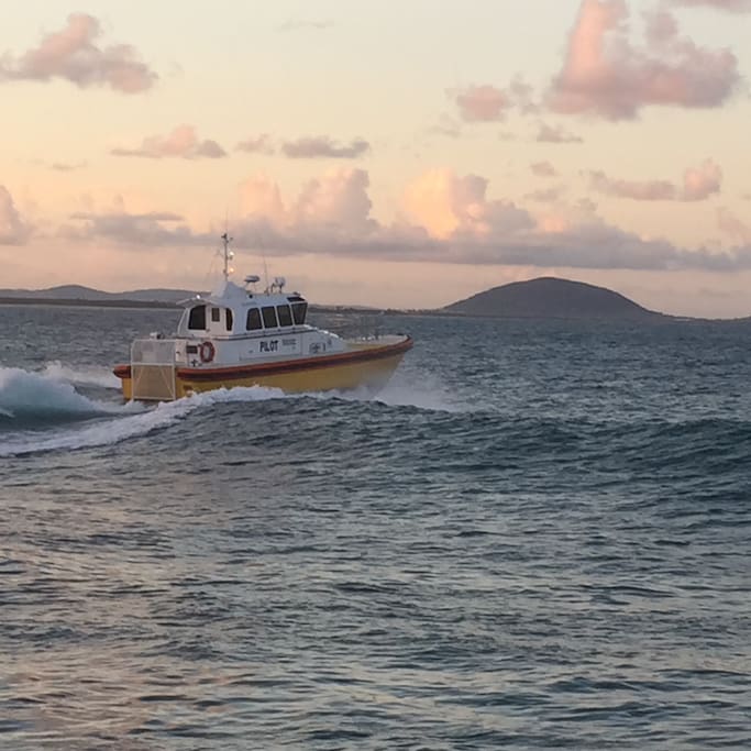 Pilot boat -Mt Coolum in the background