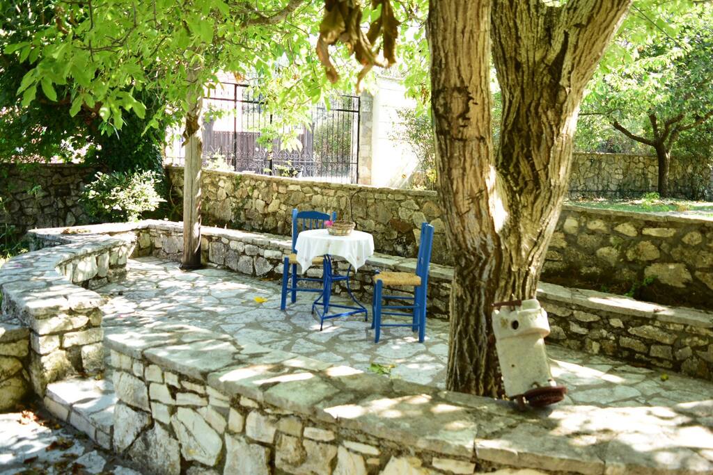 Garden view (3)