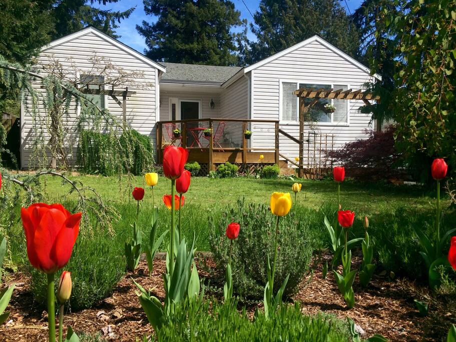Front of the house
